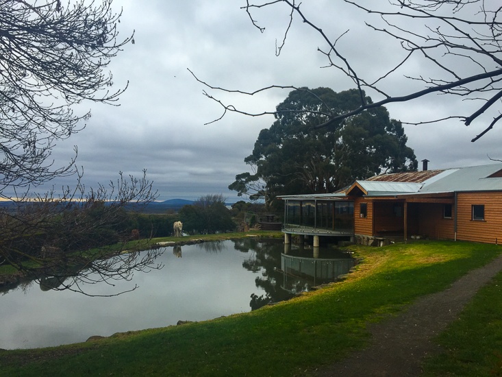 A Road Trip along Victoria's Regional Foodie Trail