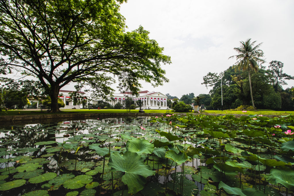 12 of the Best Things to do in Jakarta A Complete Guide