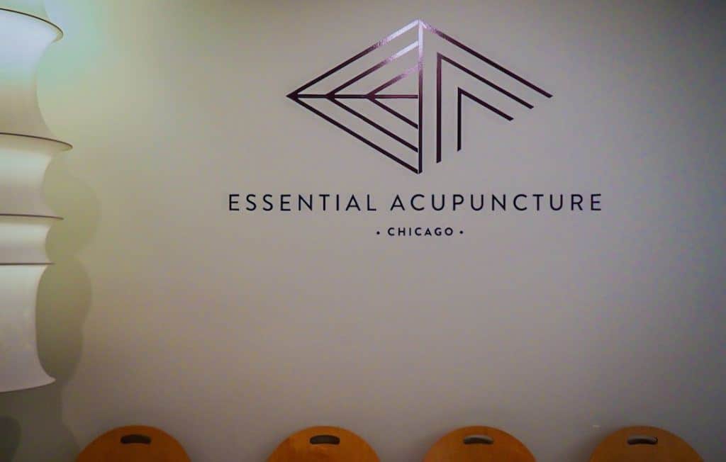 Two Days in Chicago Things to do in Chicago The Fit Traveller