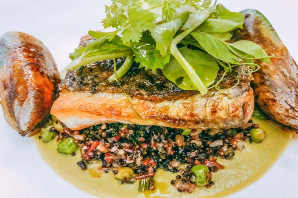 What to Do in Airlie Beach The Gateway to the Whitsundays